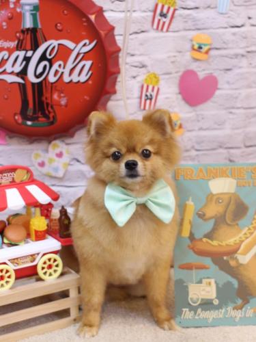 20230908ロッキーくん